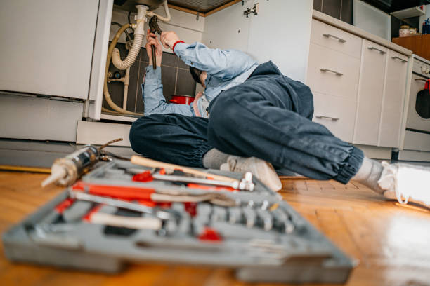 Best Clogged Drain Plumber  in Holiday, FL
