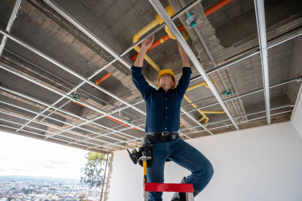 Best Plumbing Repair Near Me  in Holiday, FL