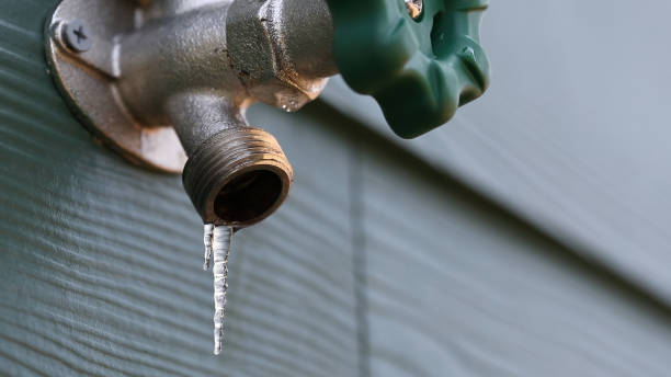 Best Sprinkler Systems  in Holiday, FL