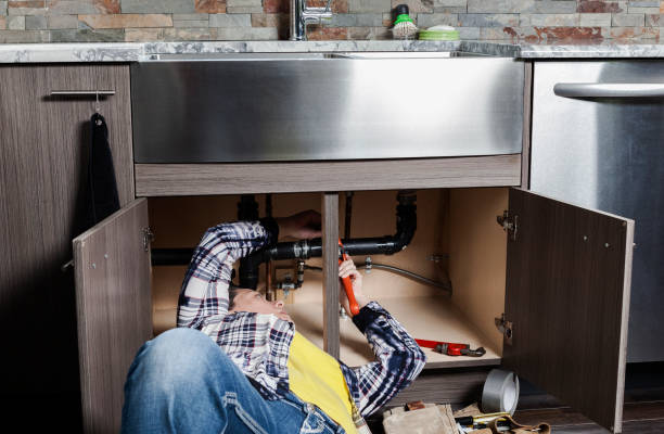 Best Plumbing Inspection Services  in Holiday, FL